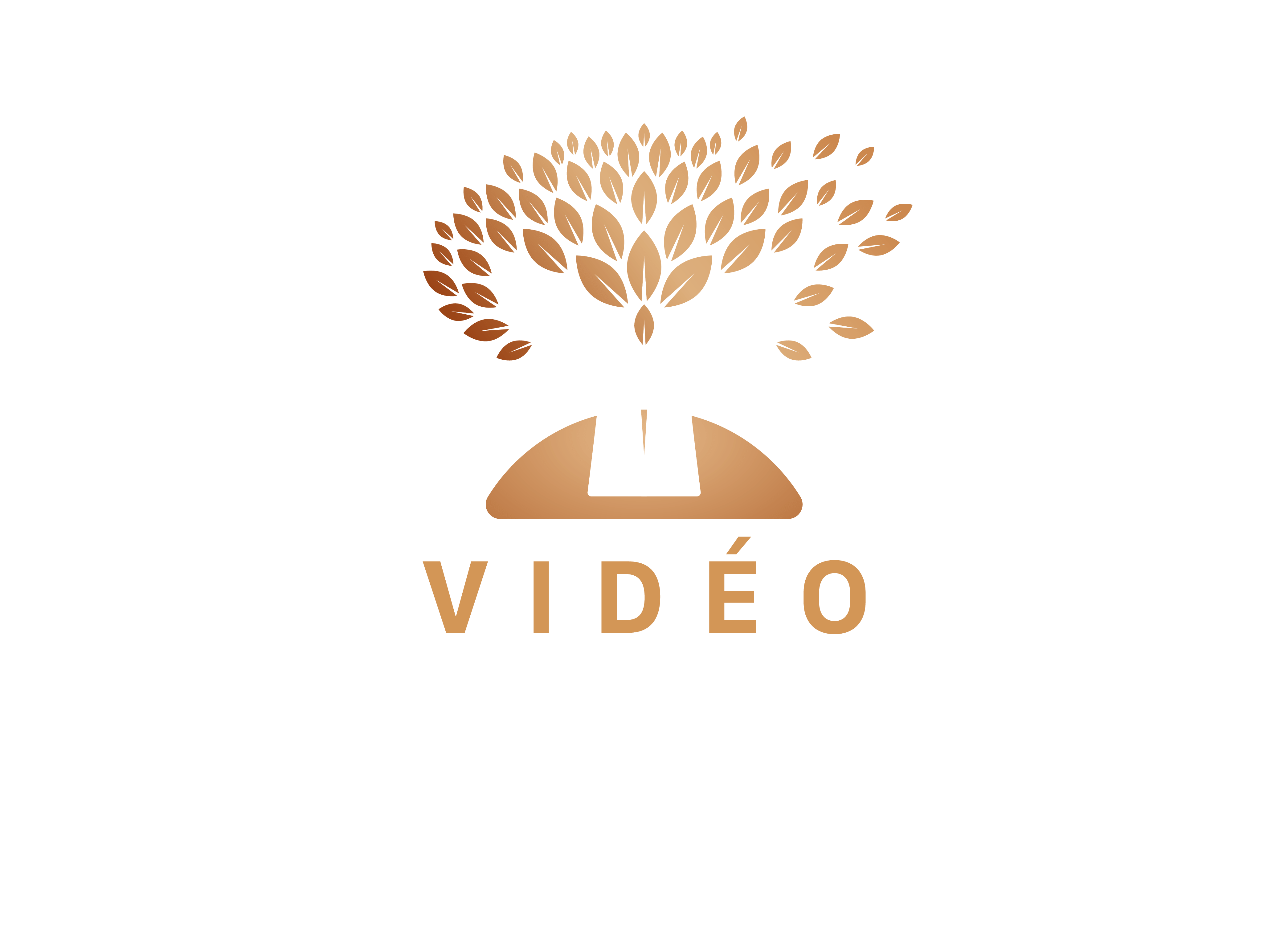 Logo Vidéo Héritage